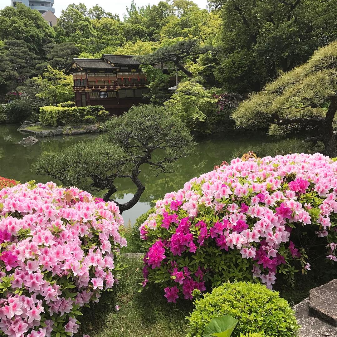 相楽園の日本庭園