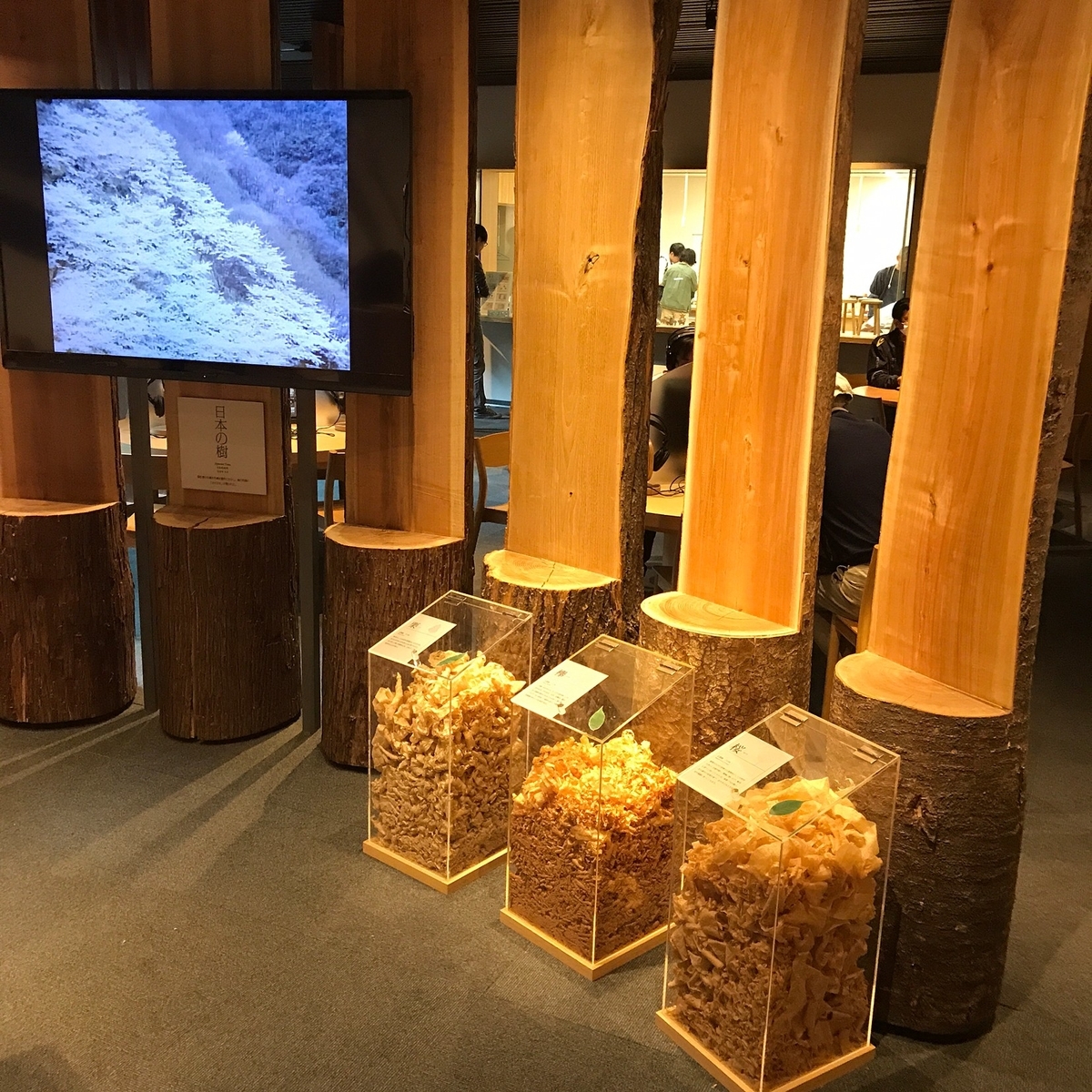 館内の展示 館内の展示