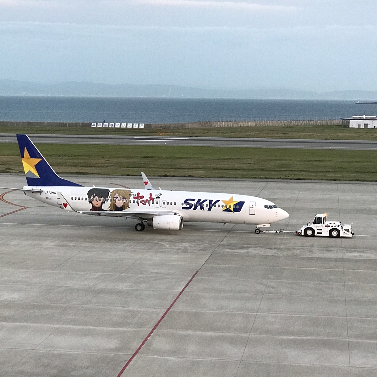 スカイマークのヤマトジェット