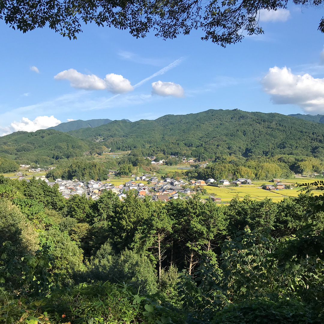 飛鳥の風景