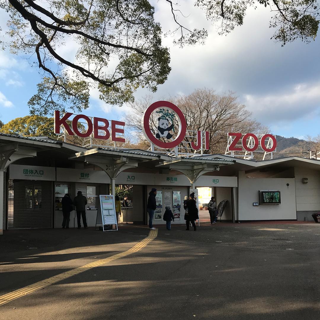 王子動物園