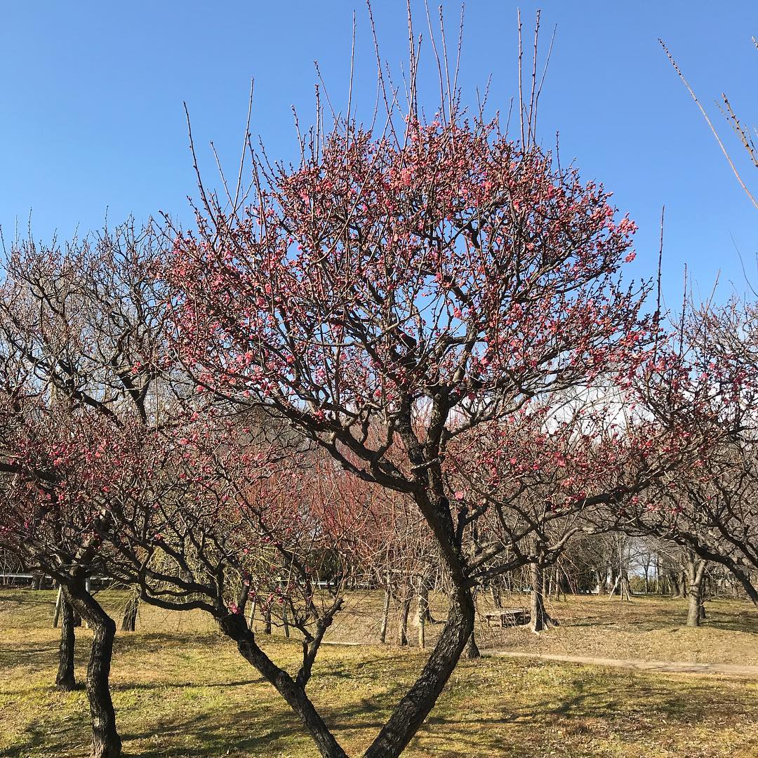 長居植物園