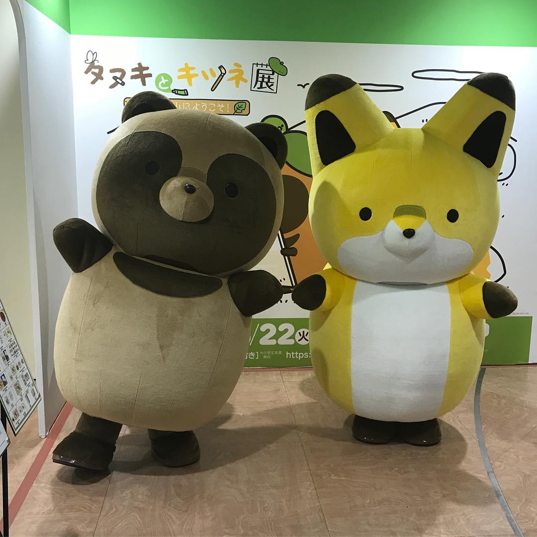 「タヌキ」と「キツネ」 「タヌキ」と「キツネ」