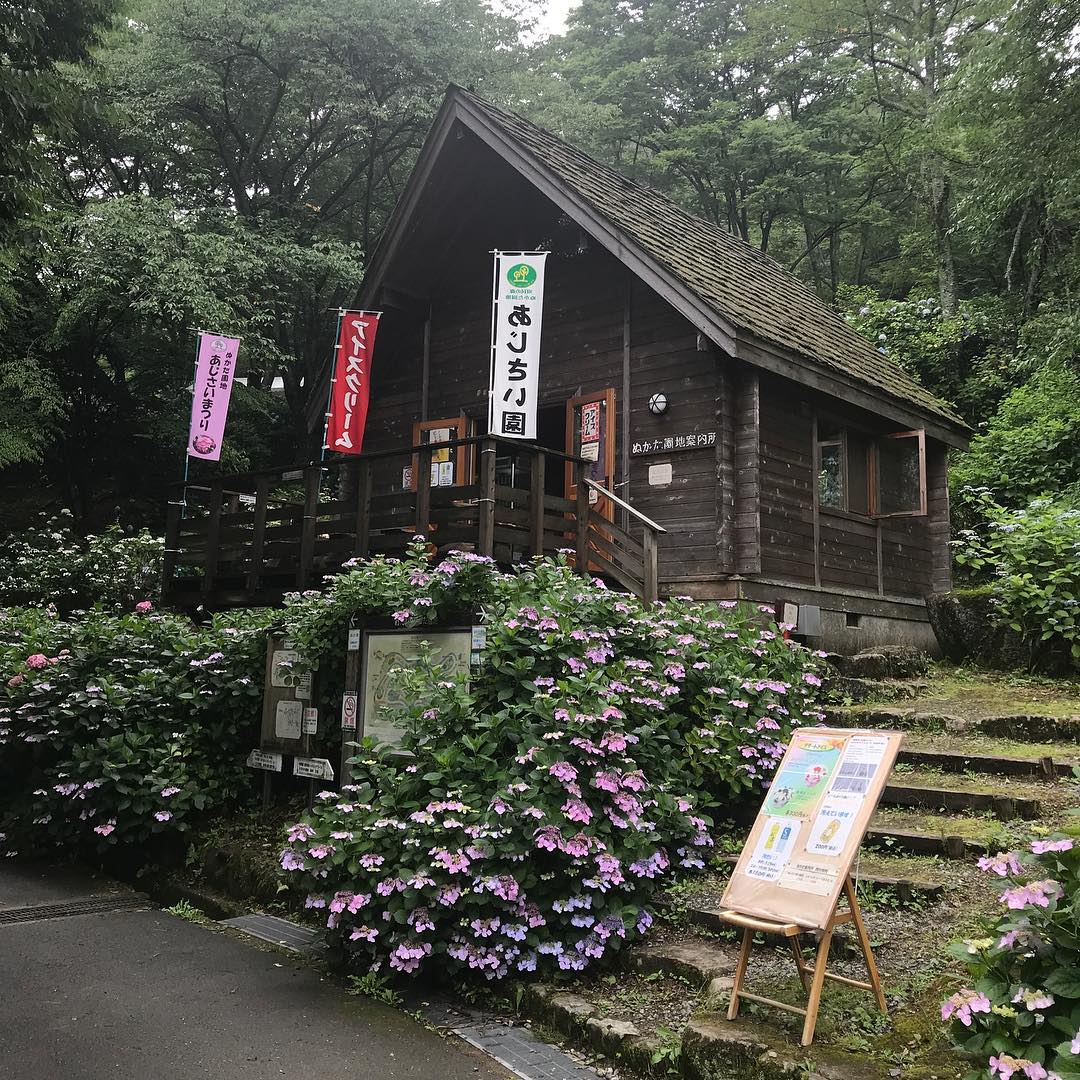 案内所