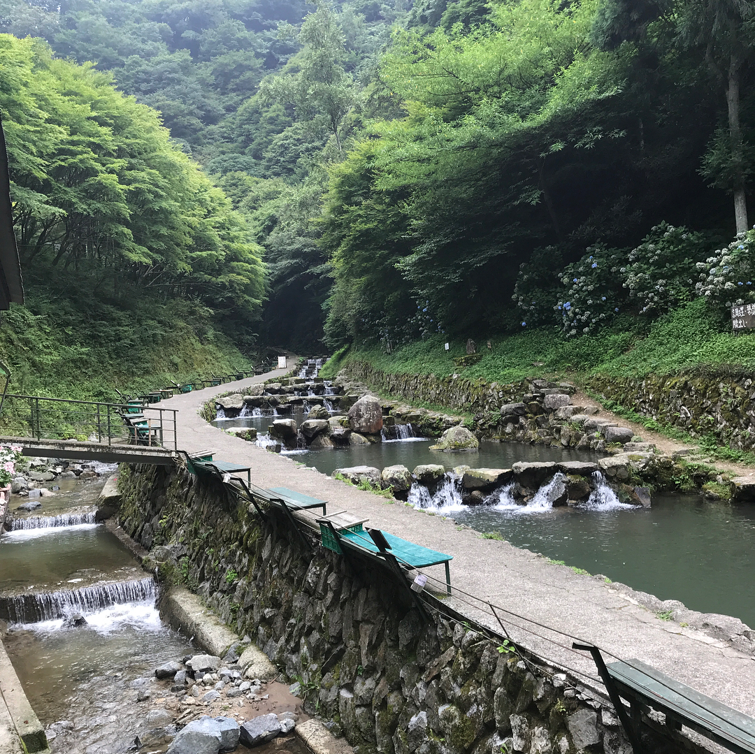千早川マス釣り場1 千早川マス釣り場1