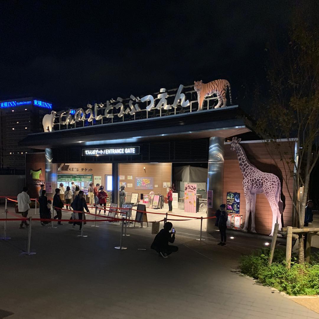 ナイトZOO