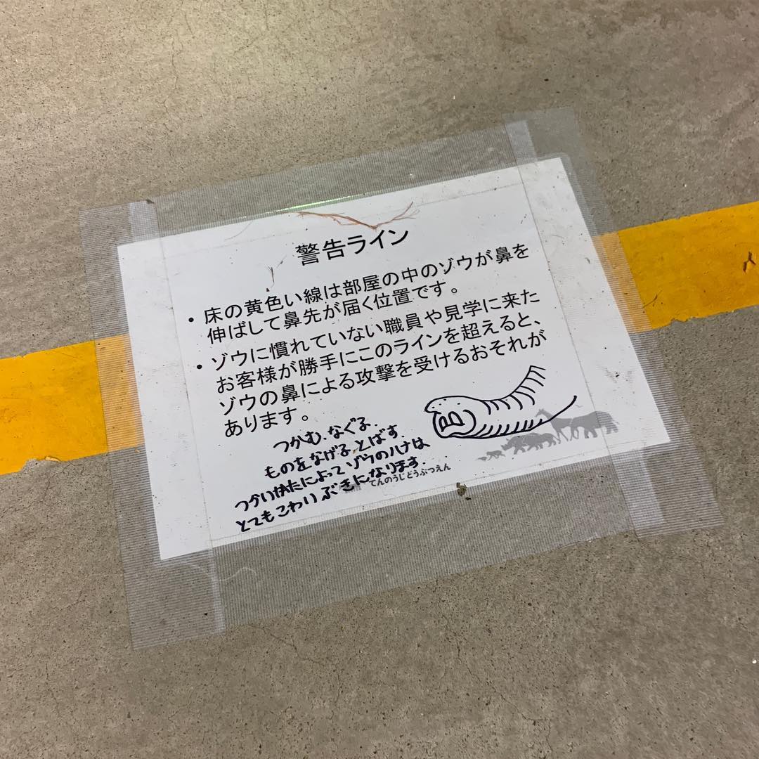 黄色いライン
