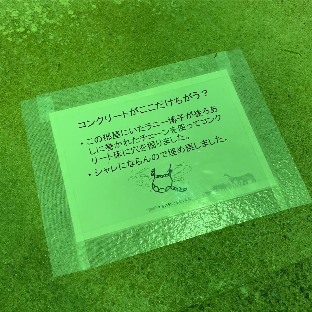 解説
