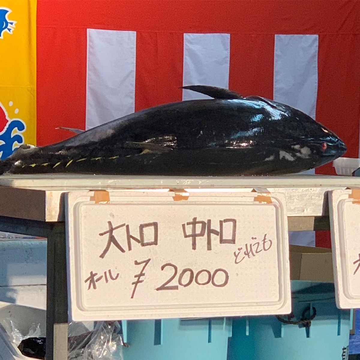 マグロ マグロ