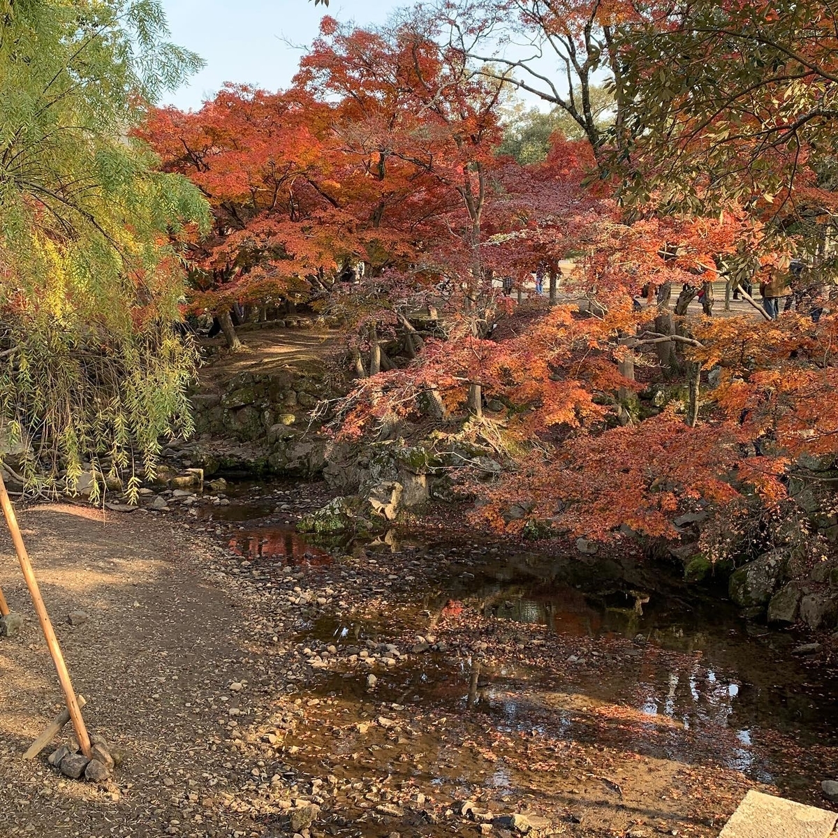 奈良公園１
