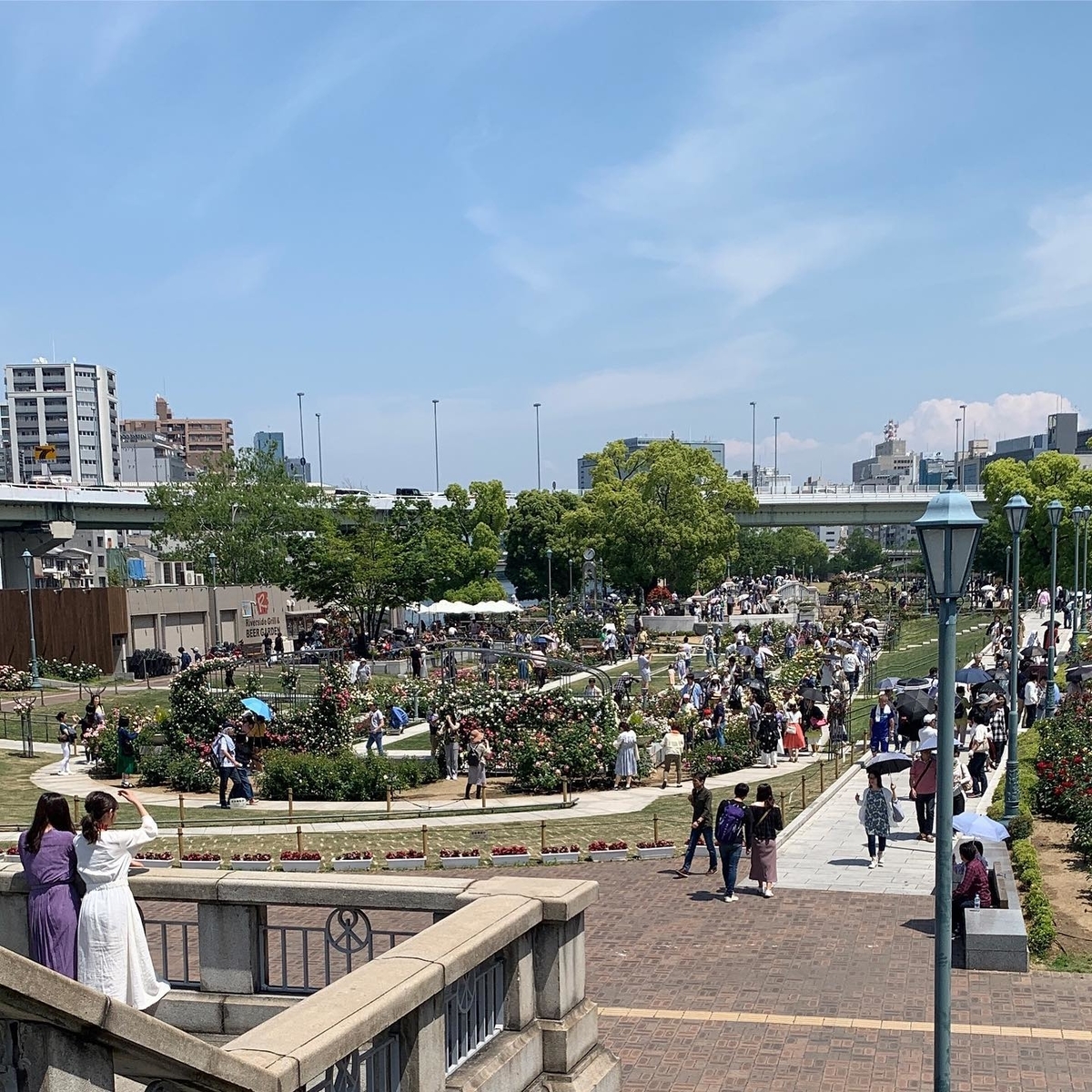 中之島のバラ園