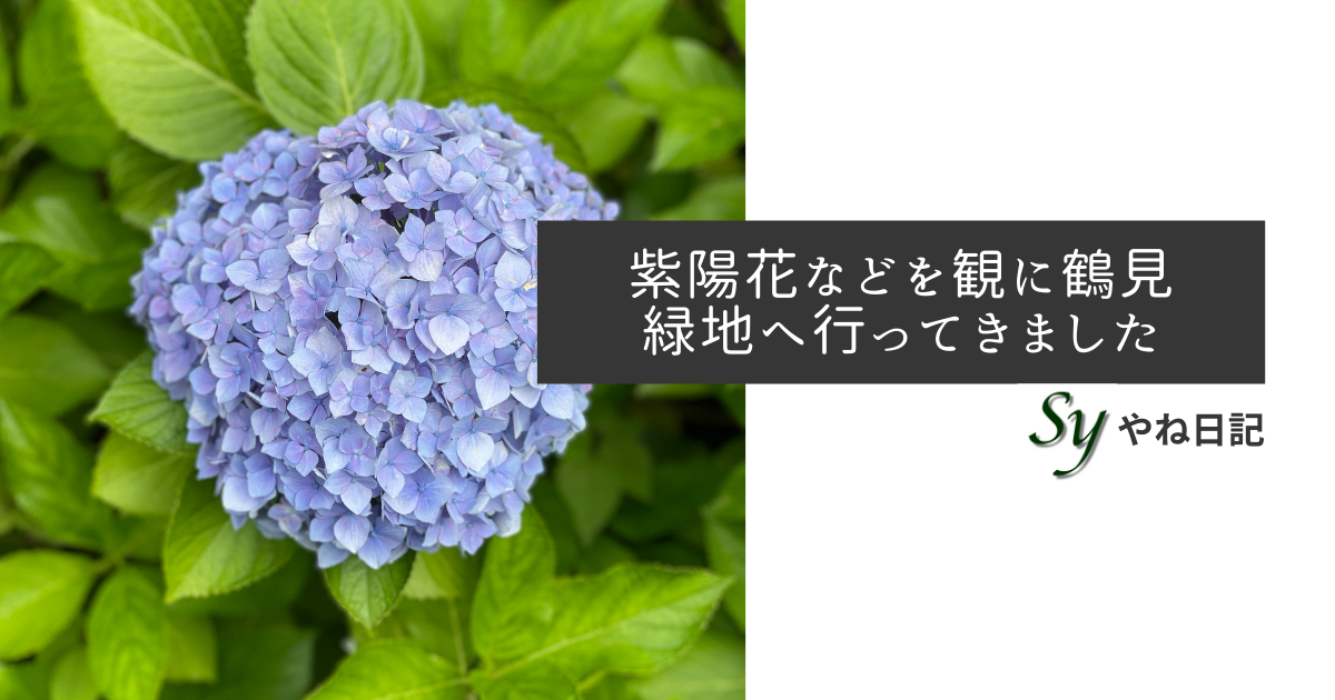 f:id:yaneshin:20210606225917p:plain