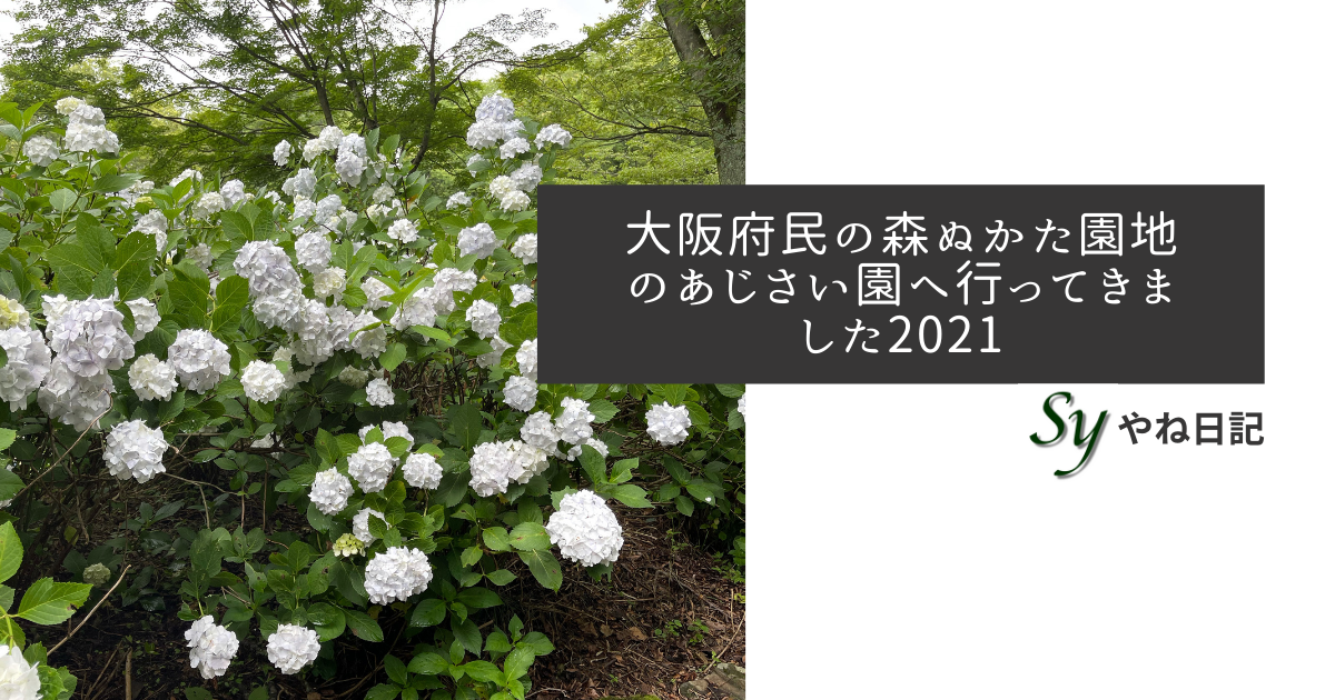 f:id:yaneshin:20210627233737p:plain