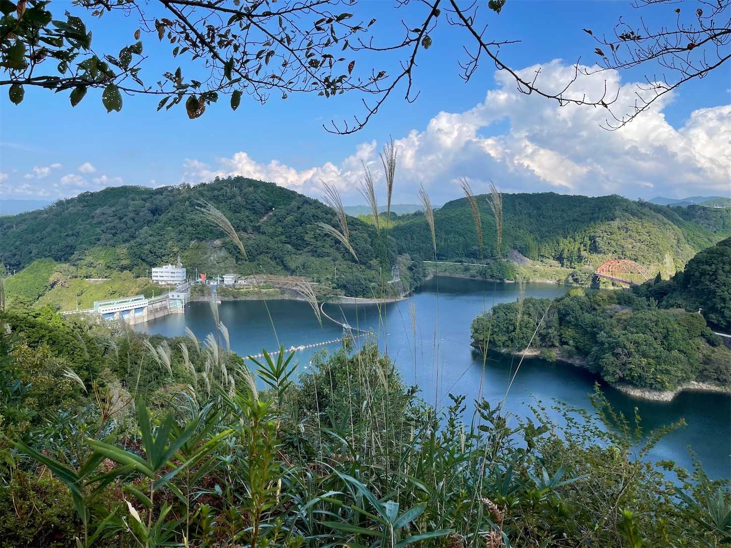青蓮寺湖１