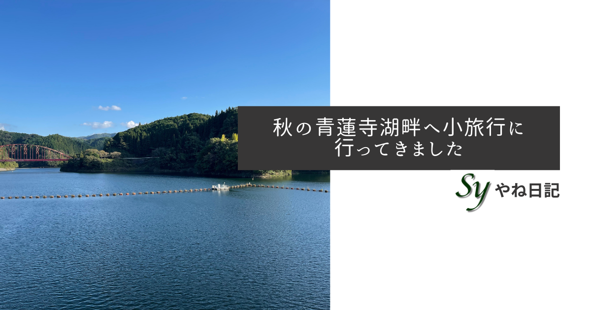 f:id:yaneshin:20211014230927p:plain