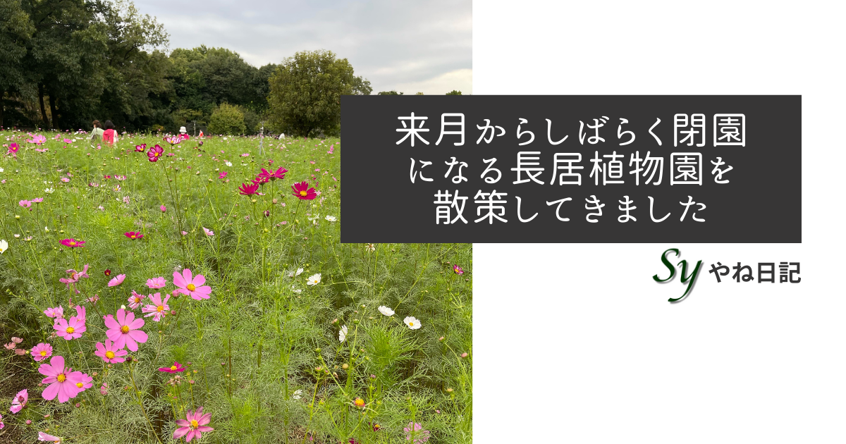 f:id:yaneshin:20211016231551p:plain