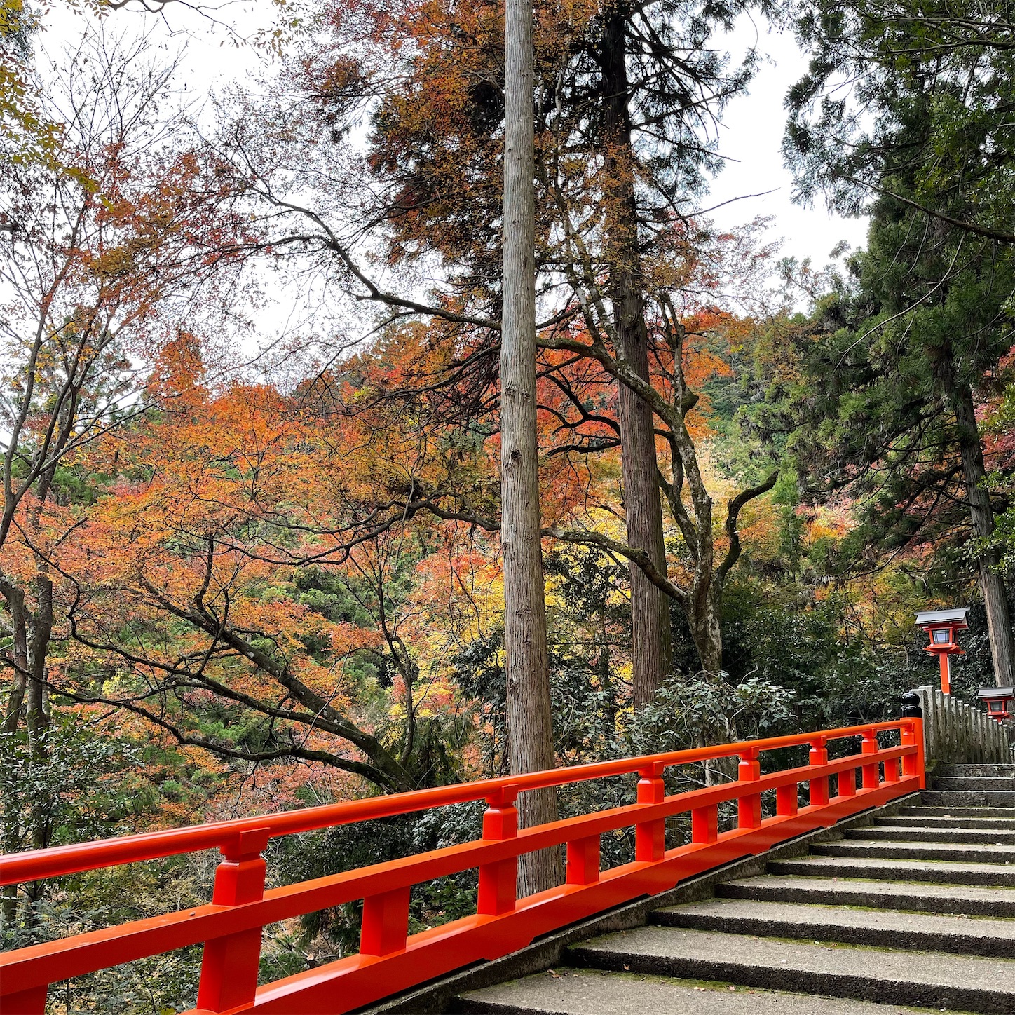 鞍馬寺の参道