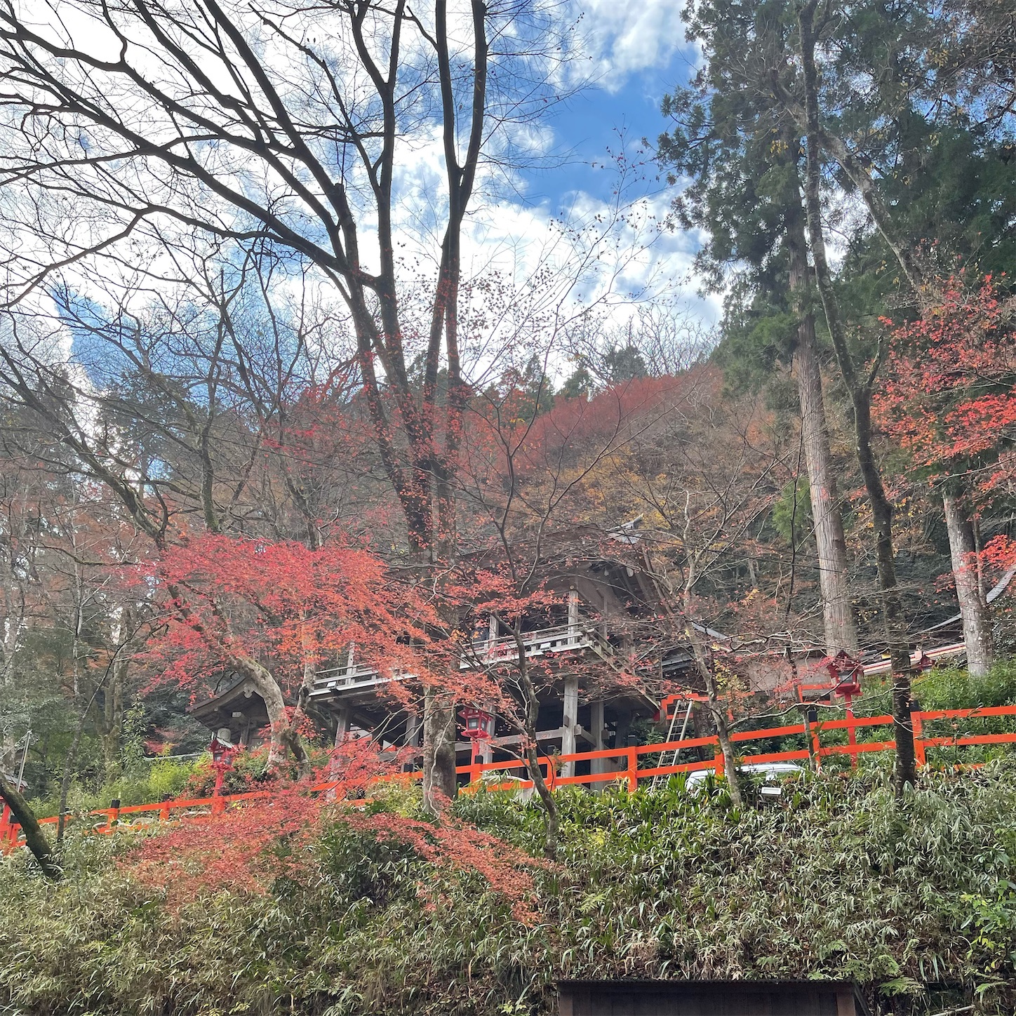 貴船神社の紅葉