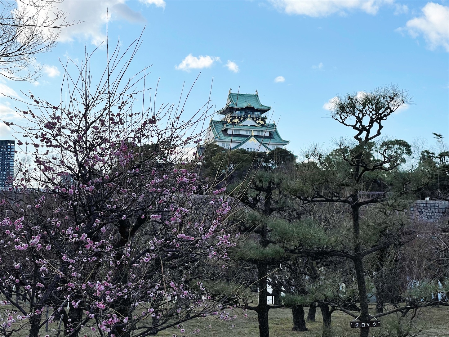 大阪城梅林 大阪城梅林