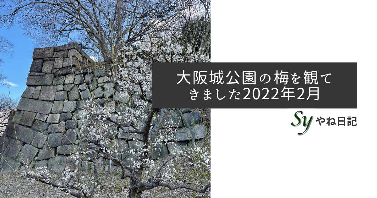 f:id:yaneshin:20220212003746p:plain