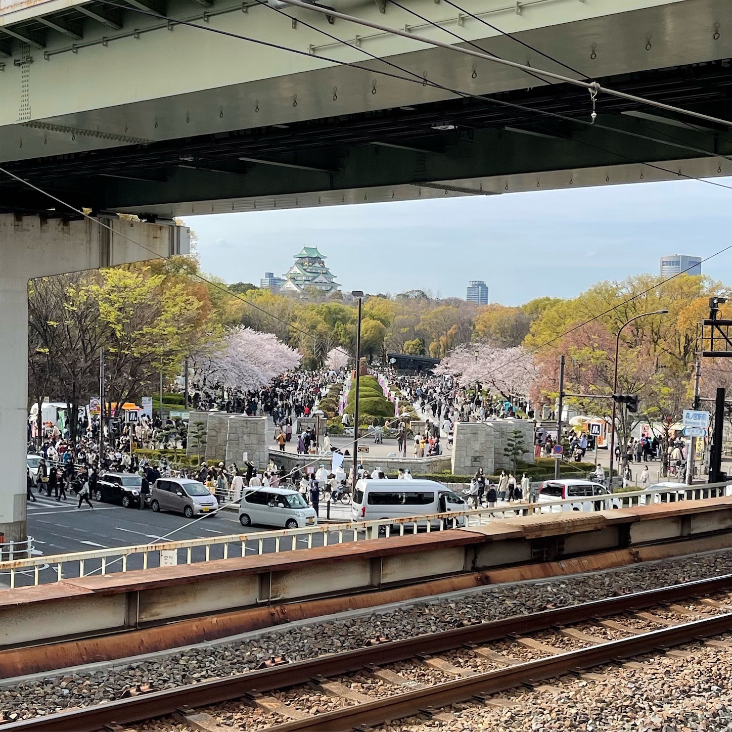 混雑する大阪城公園