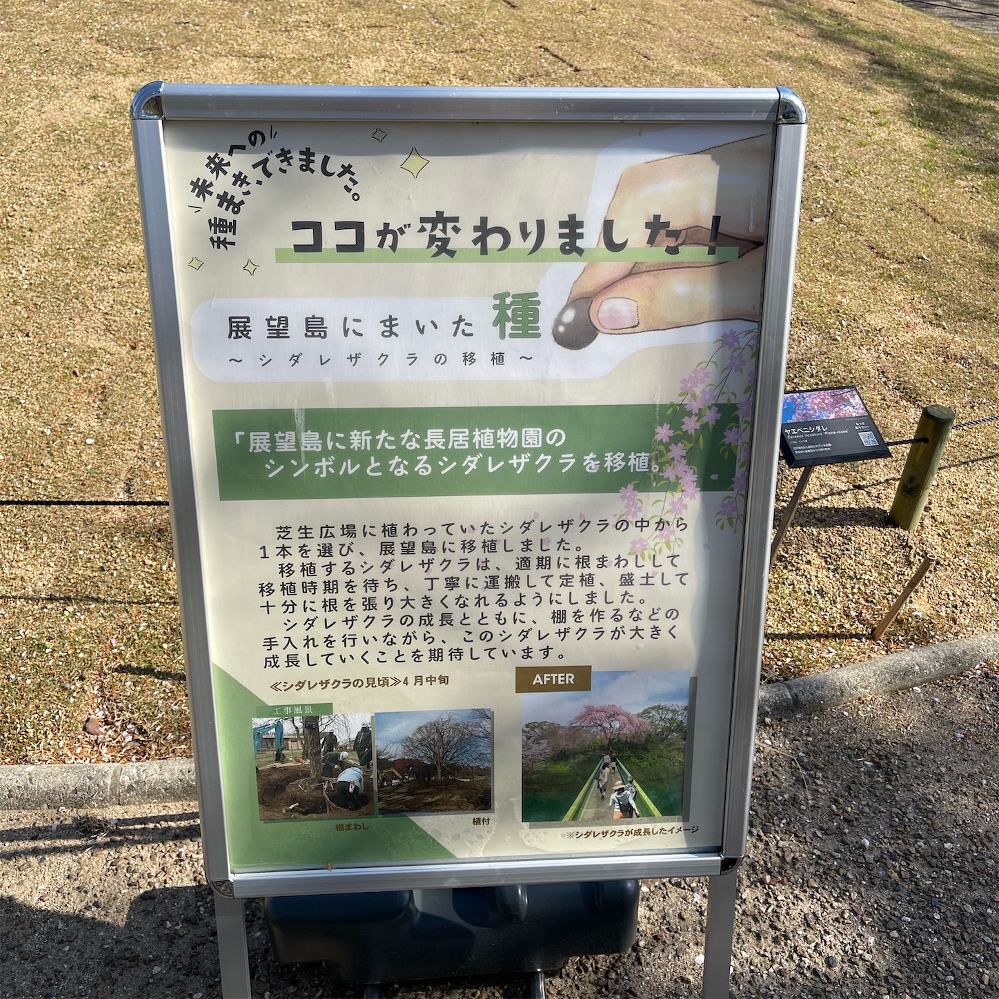 長居植物園の「ココが変わりました!」 長居植物園の「ココが変わりました!」