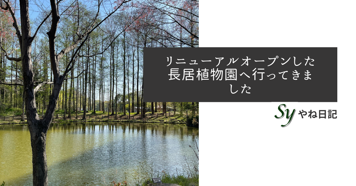 f:id:yaneshin:20220409233435p:plain