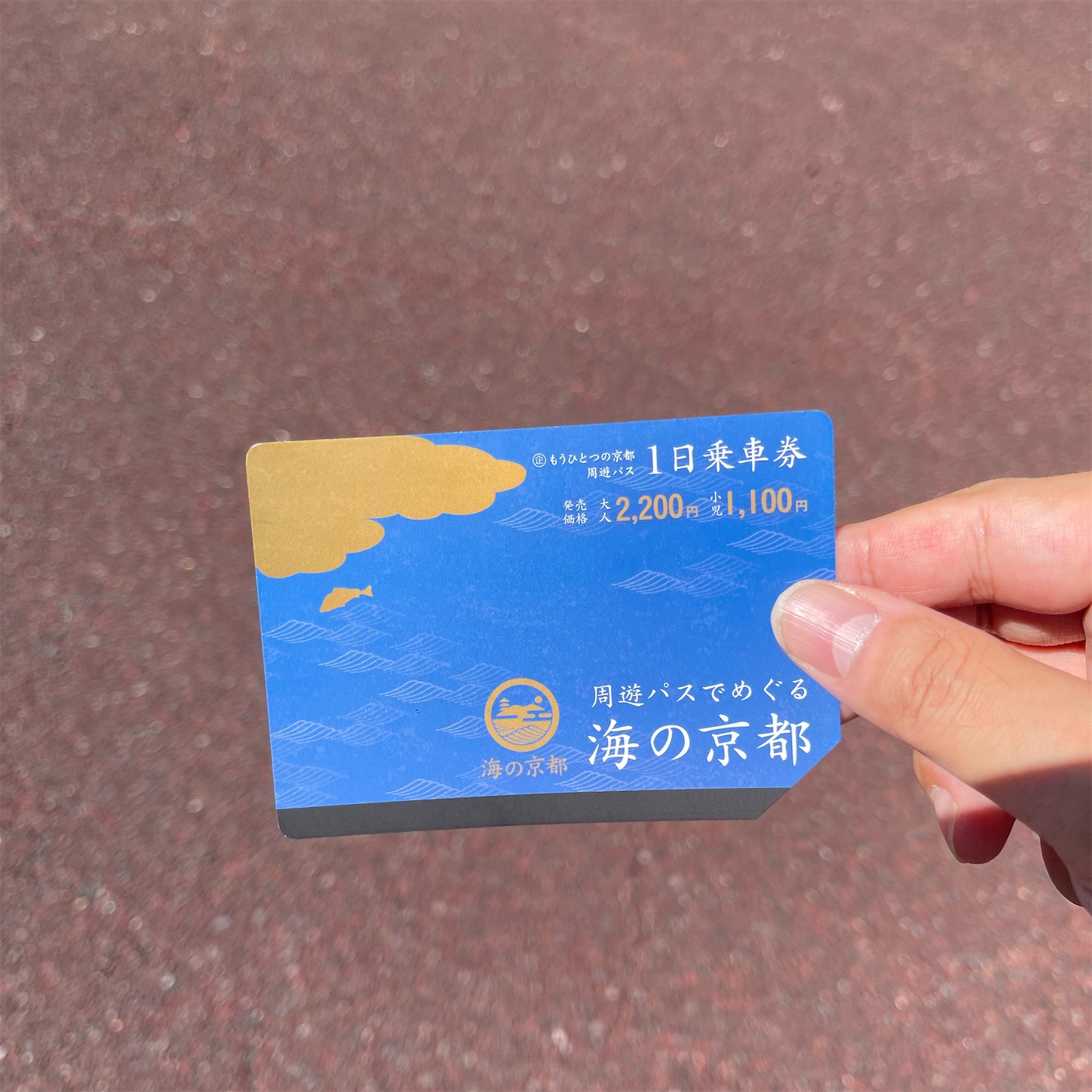 「もうひとつの京都周遊パス・海の京都エリア」