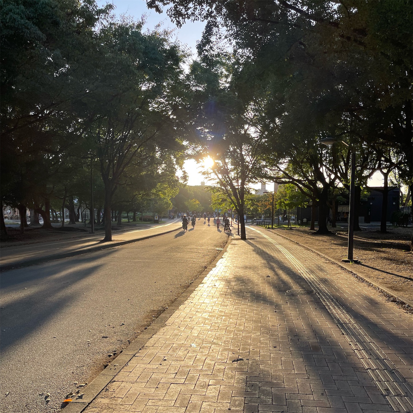 夕暮れ時の長居公園