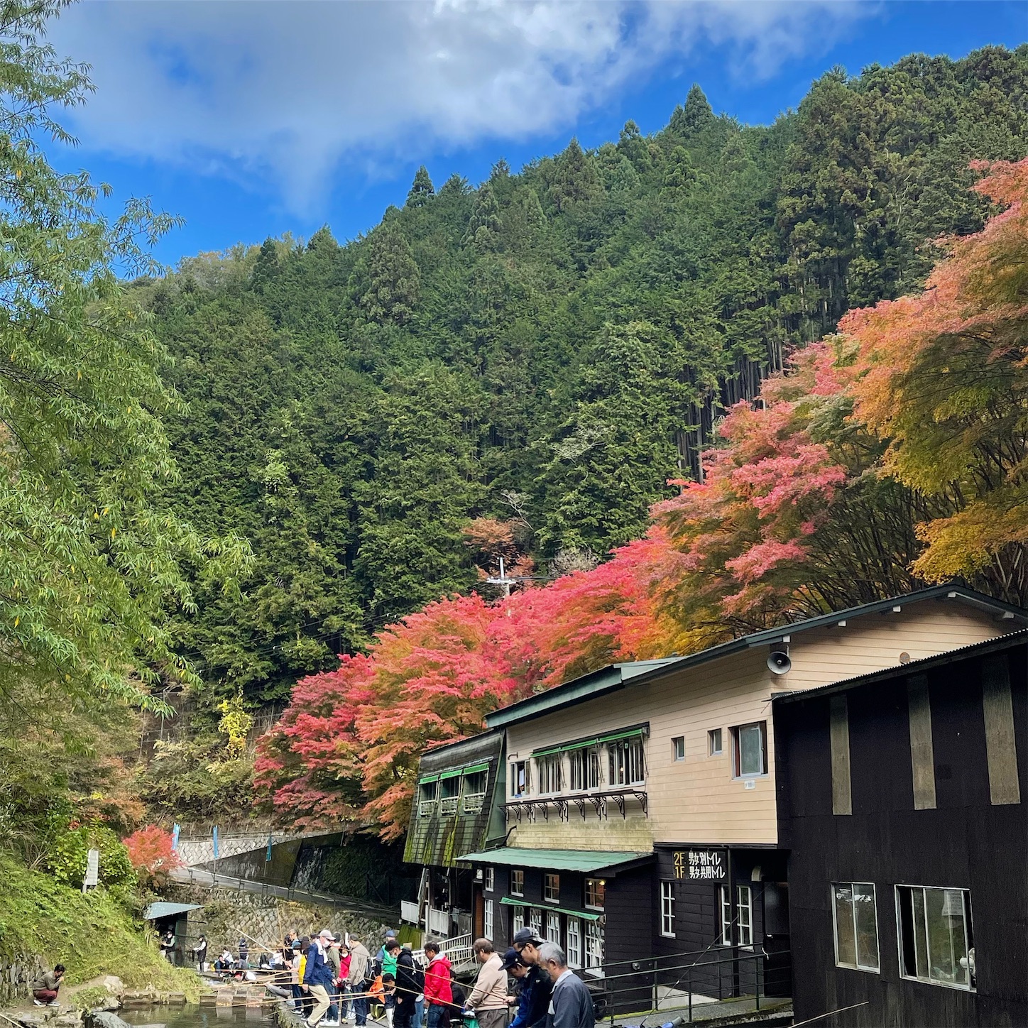 千早川マス釣り場