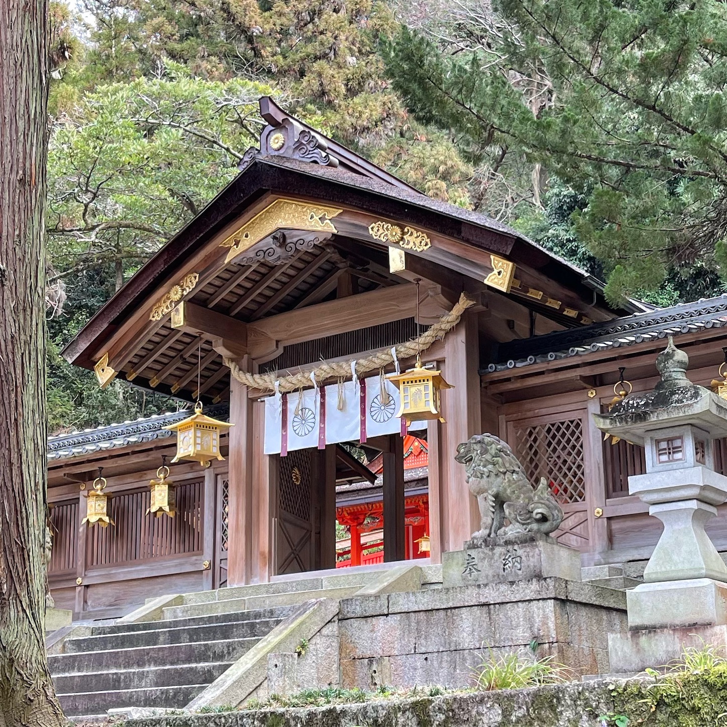 枚岡神社本殿