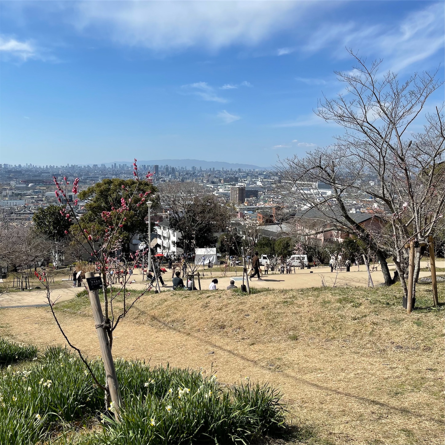 枚岡梅林から大阪平野を望む