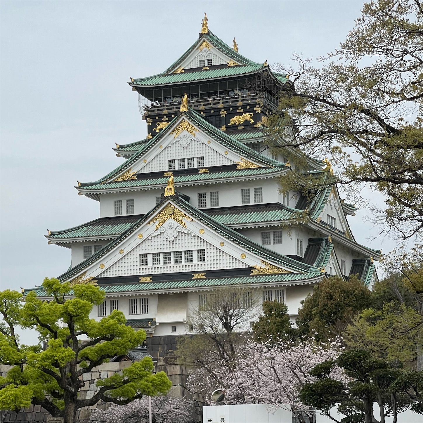 大阪城天守閣と桜