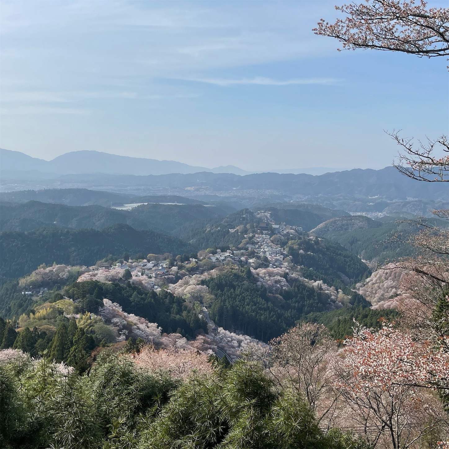 花矢倉展望台からの風景