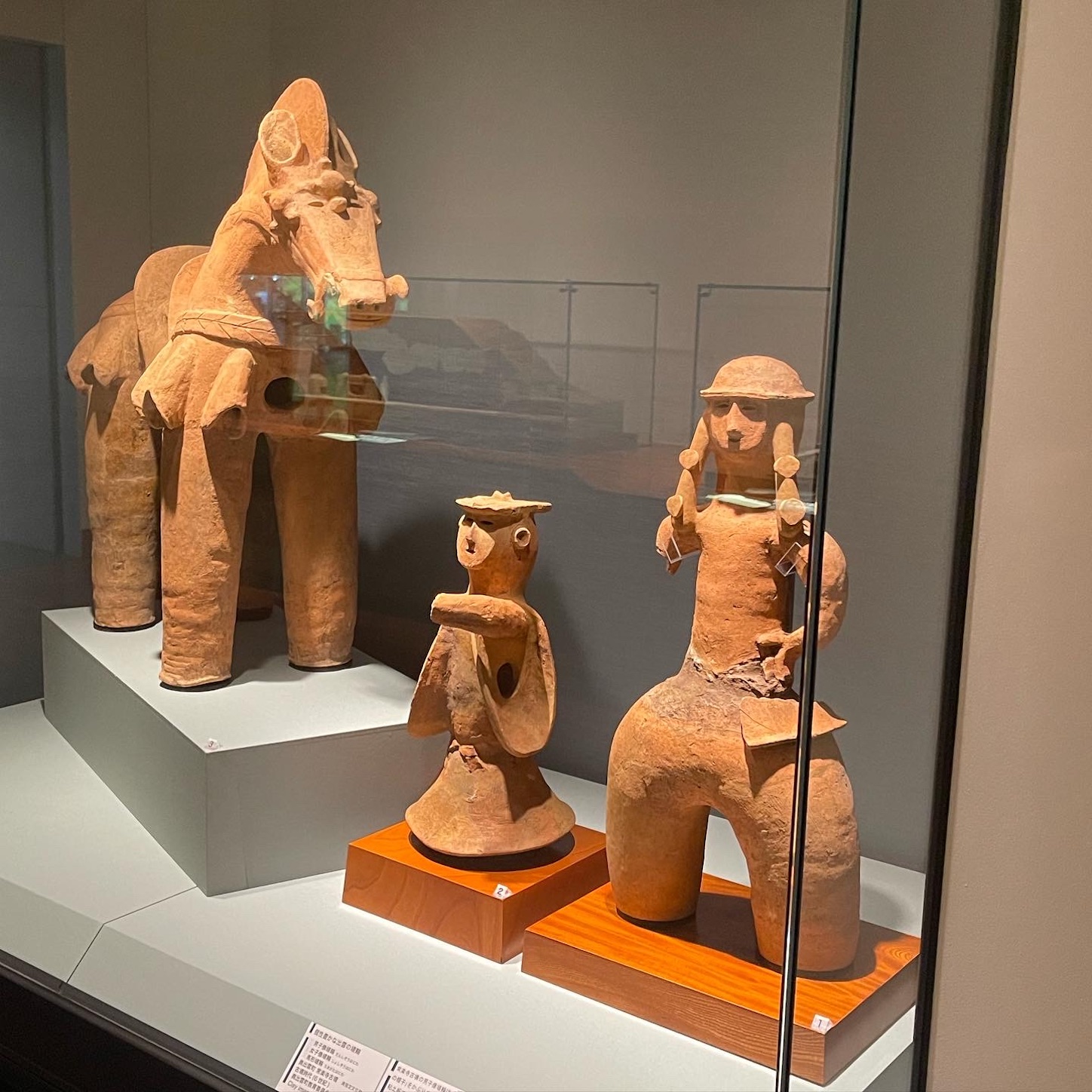島根県立古代出雲歴史博物館の展示４