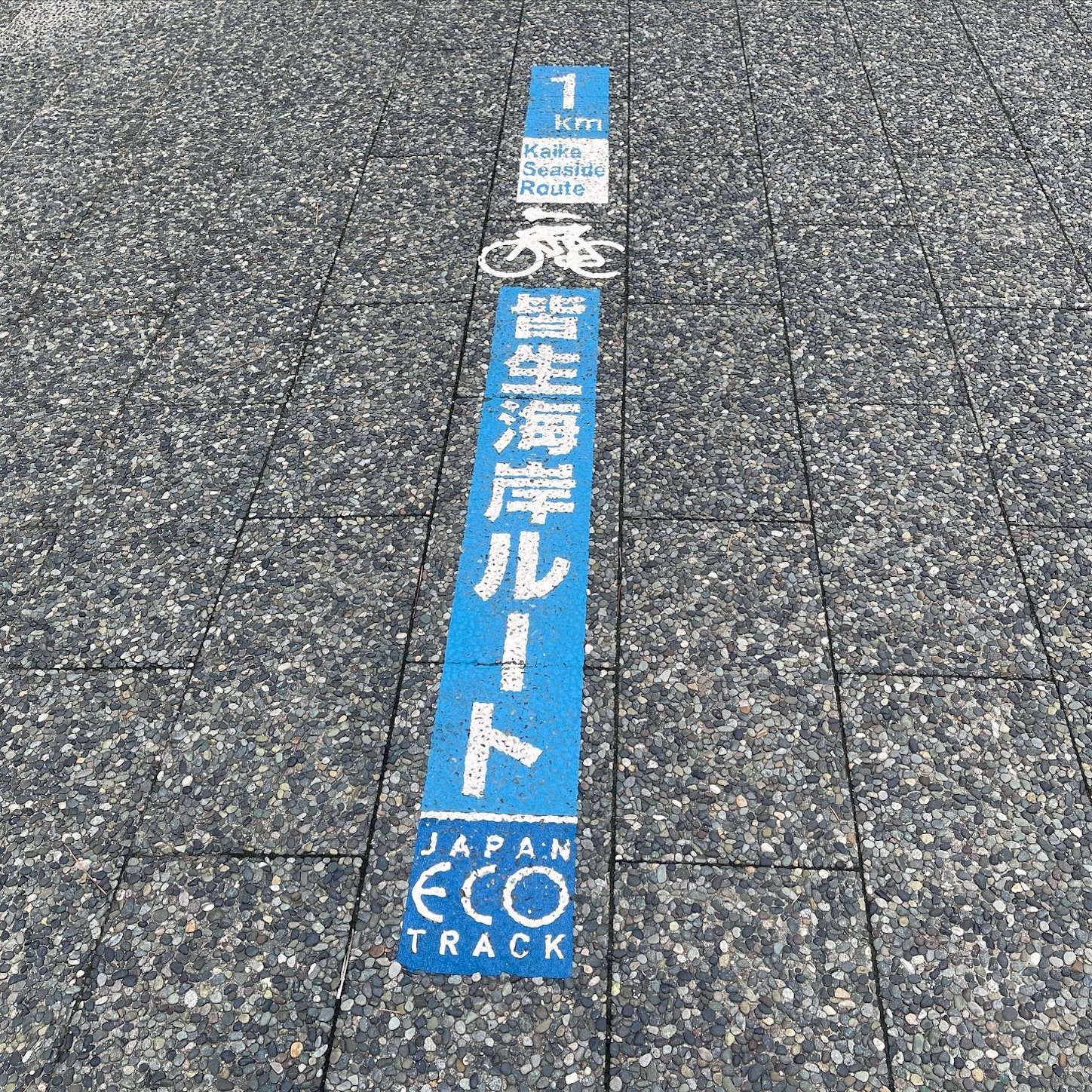 皆生温泉の海岸にて１