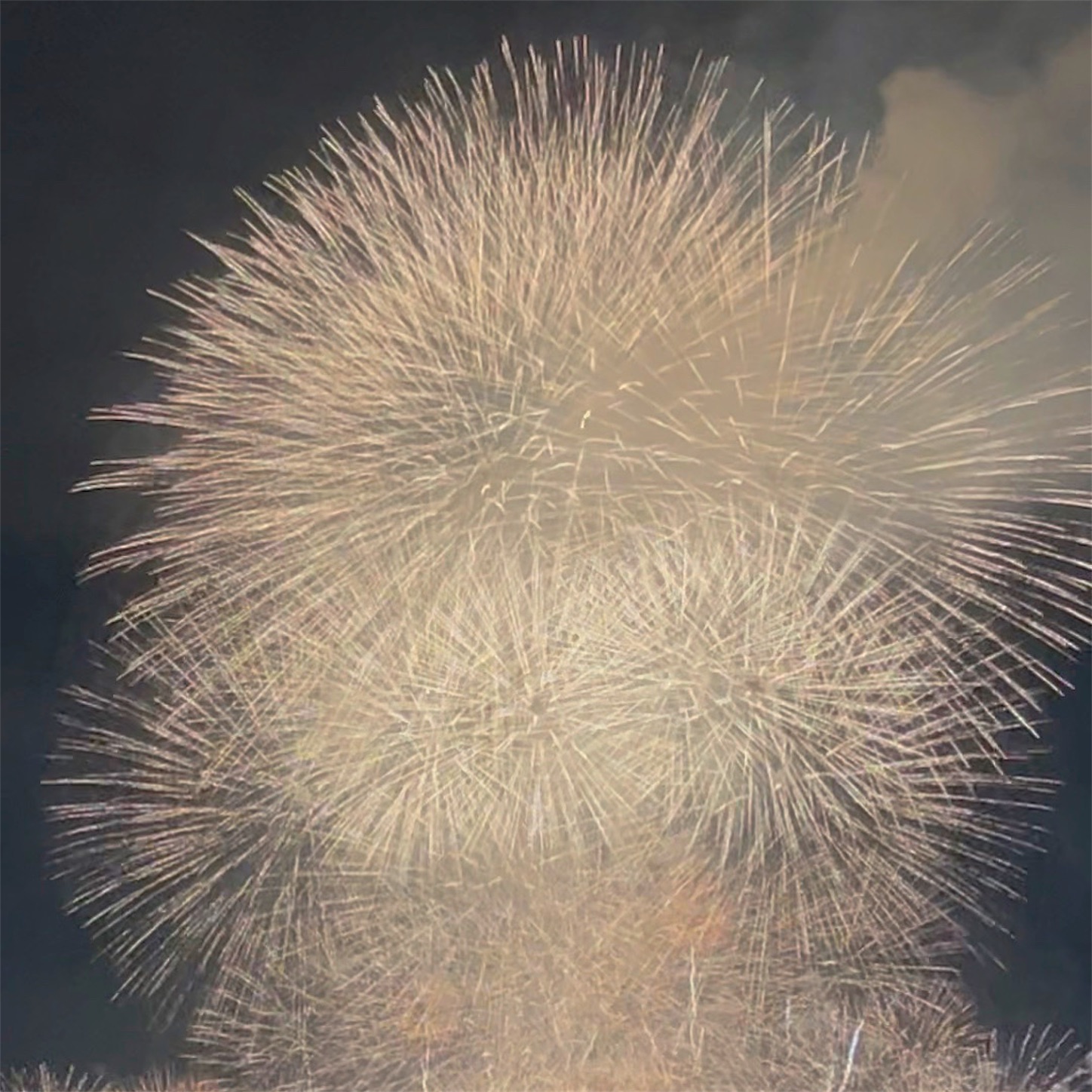 なにわ淀川花火大会の花火２