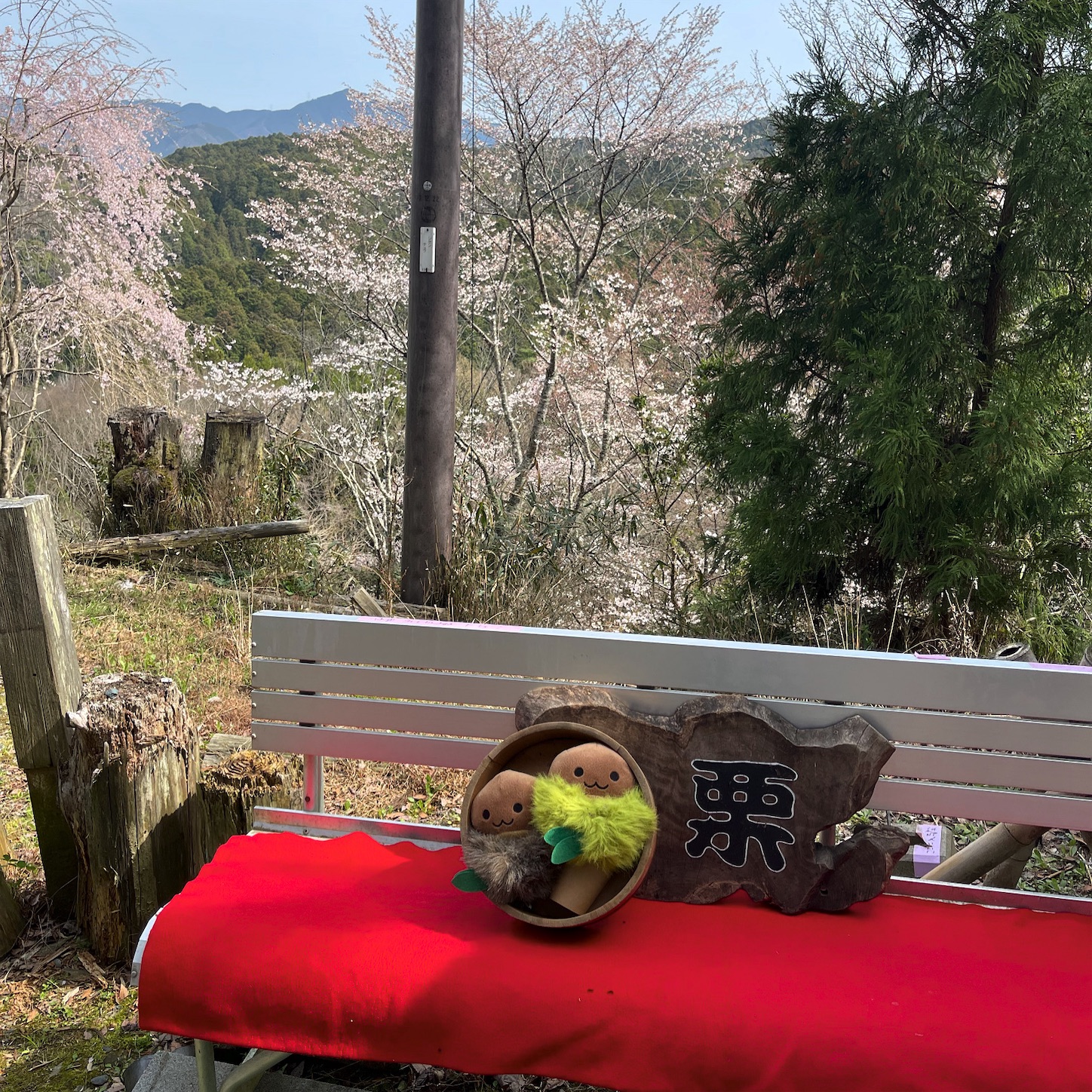 中千本にて