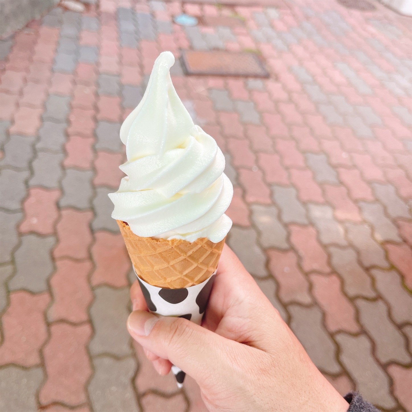 神戸チーズソフトクリーム