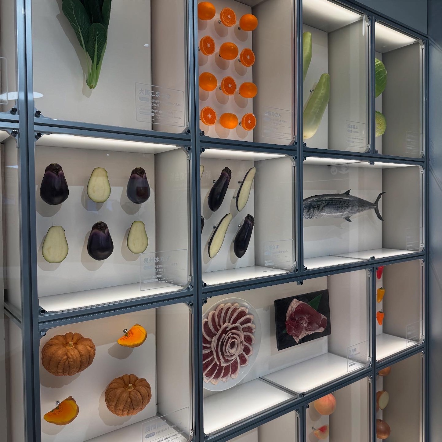 大阪産(もん)の展示その3 大阪産(もん)の展示その3