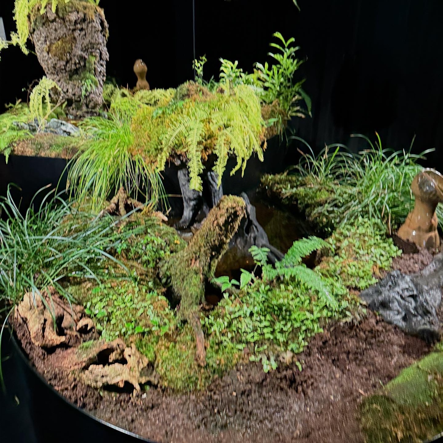 アイルランドパビリオンの展示2 アイルランドパビリオンの展示2
