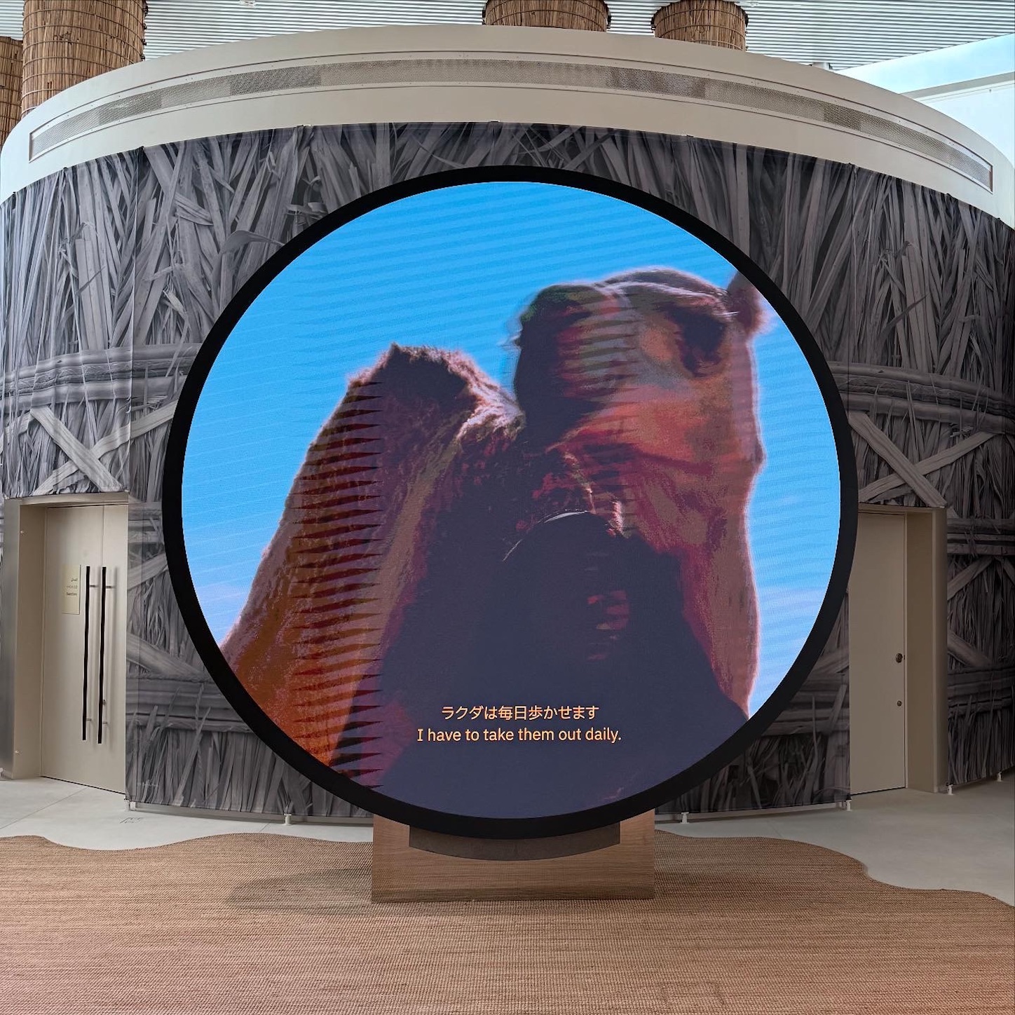 UAEパビリオンの展示2 UAEパビリオンの展示2