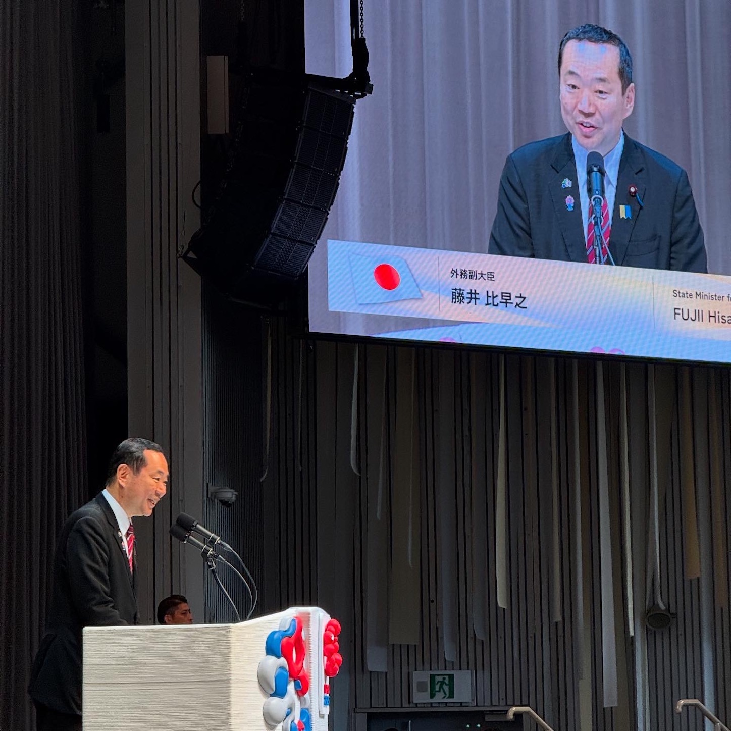 藤井外務副大臣