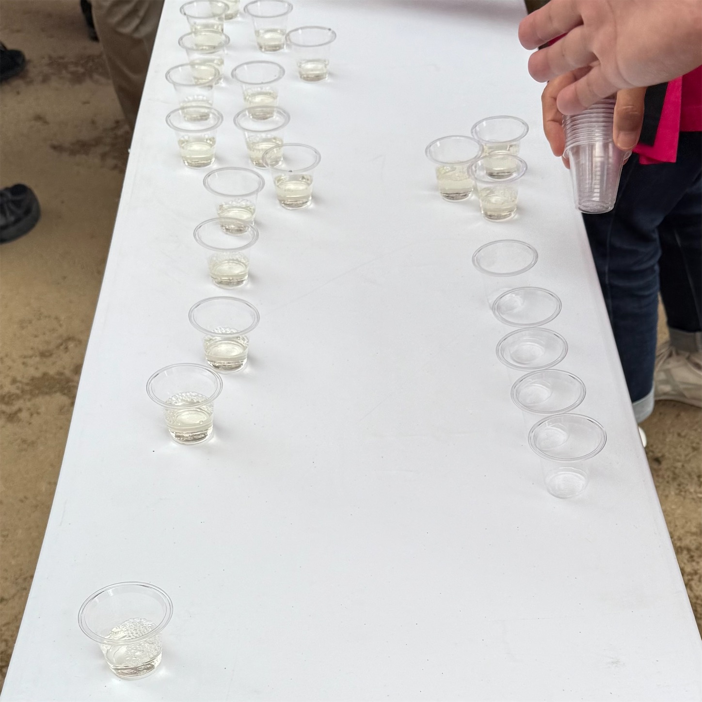 淡路島のイベントの振る舞い酒