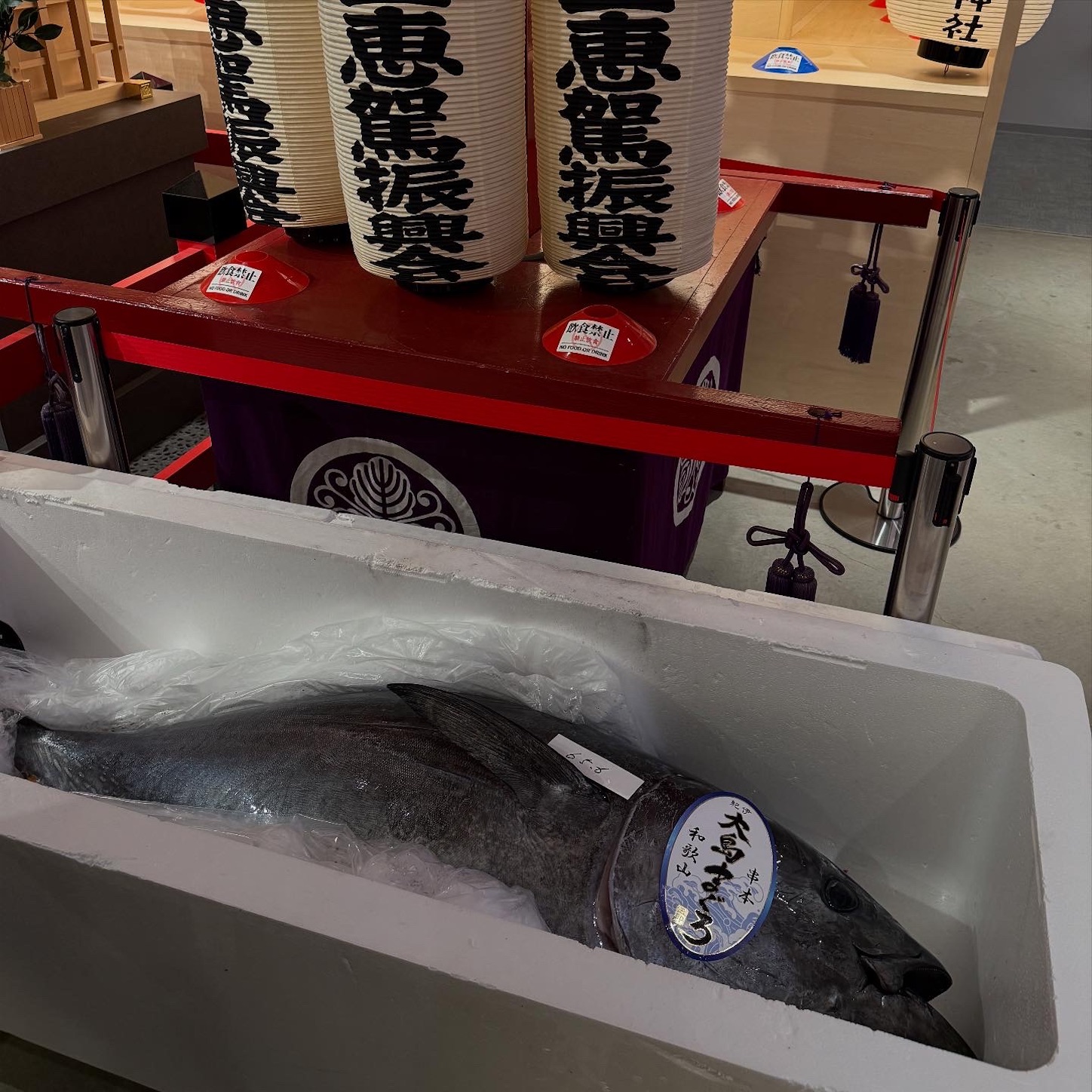 供えられていたまぐろ 供えられていたまぐろ