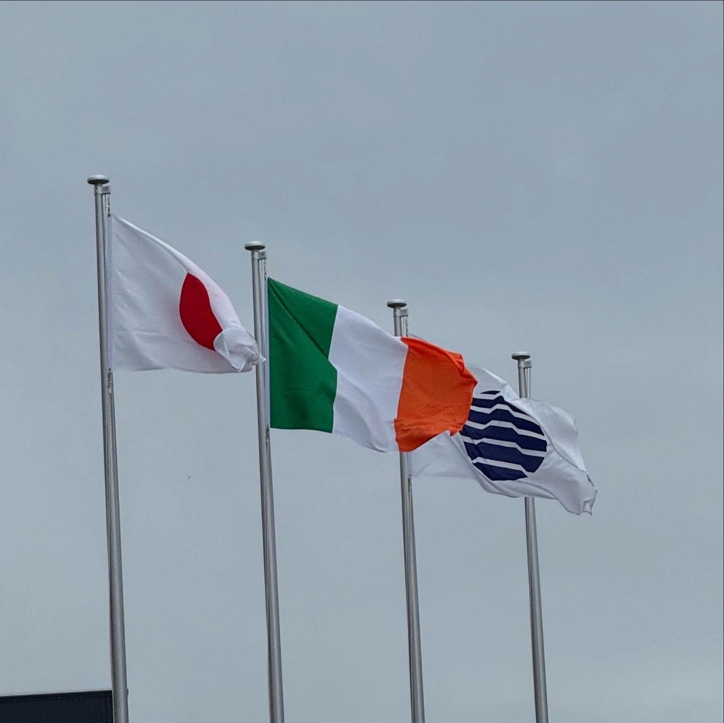 レイガーデンに掲揚された国旗 レイガーデンに掲揚された国旗