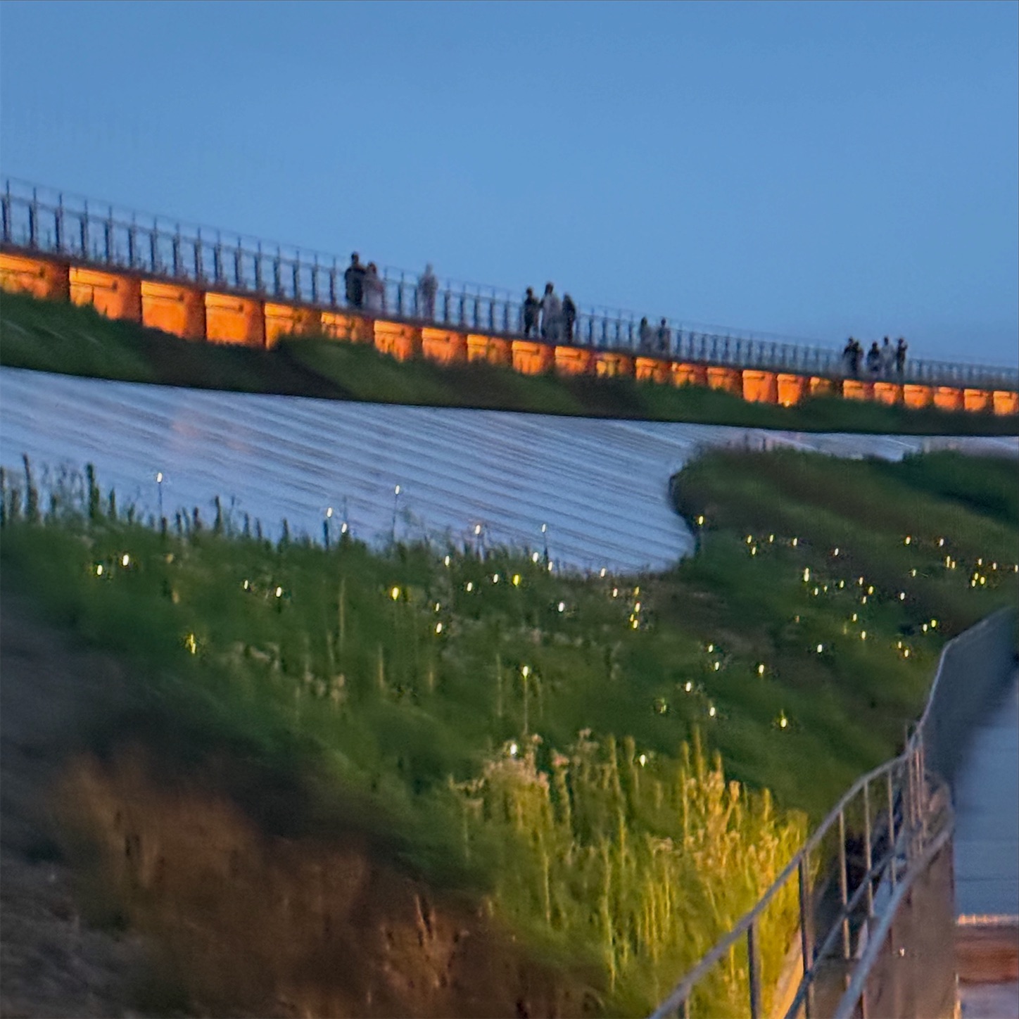 電飾された草花