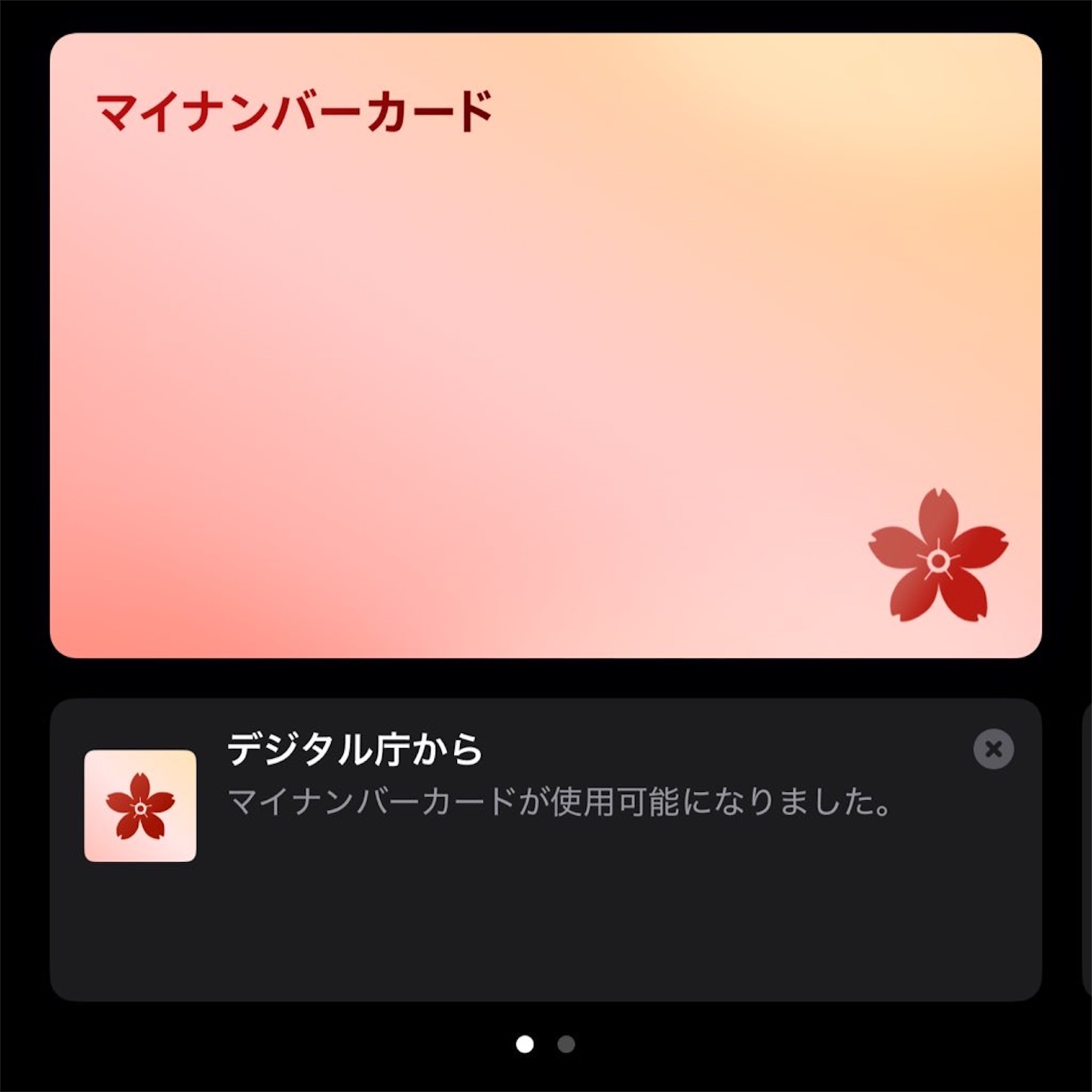  iPhoneでのマイナンバーカードの表示