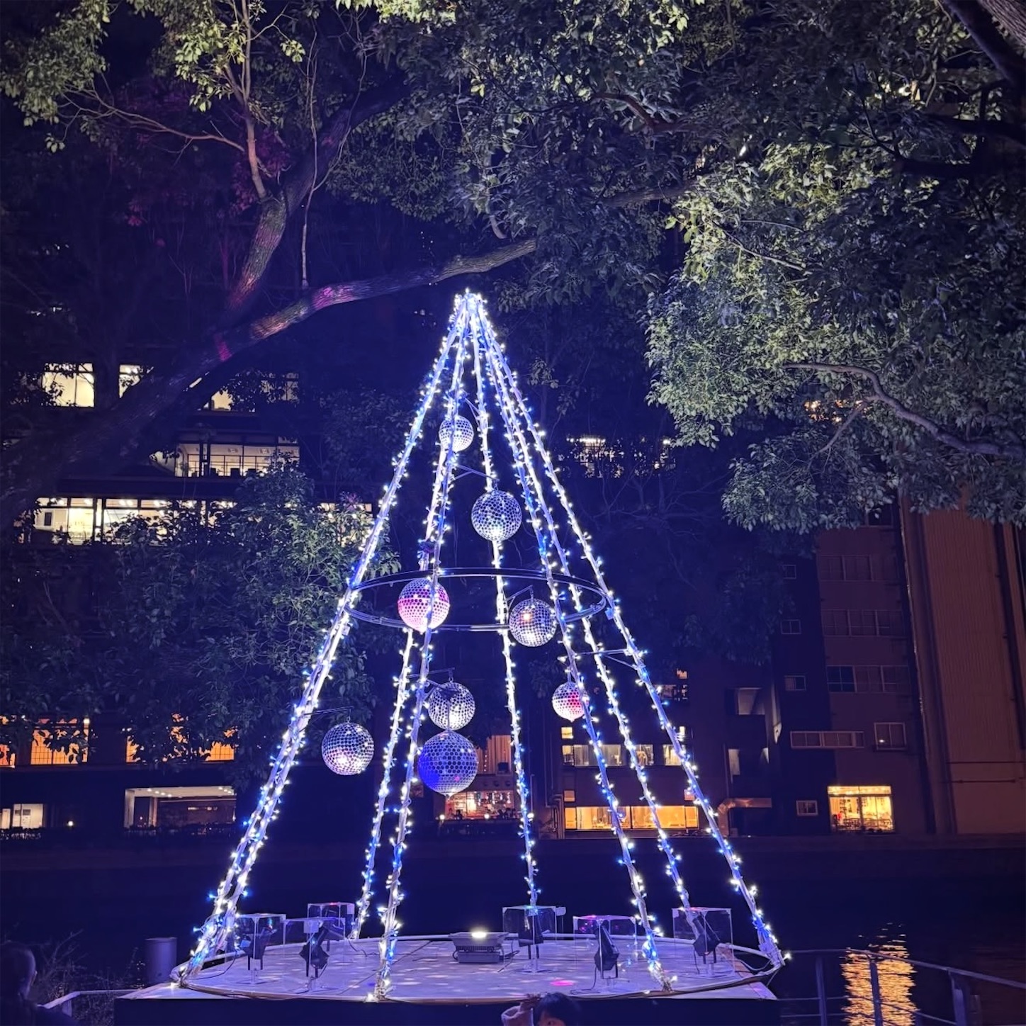中之島公園のクリスマスツリー