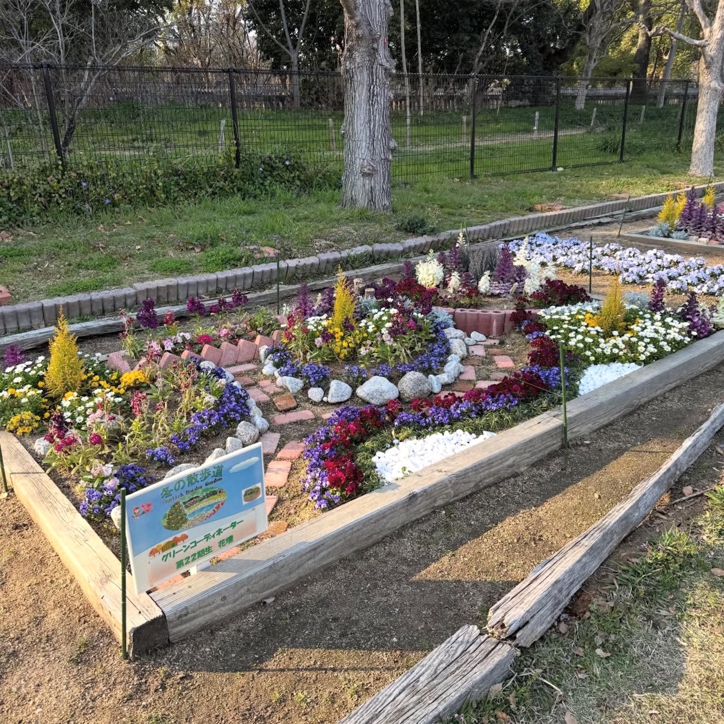 長居植物園の花壇